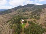 864 Larkspur Ln - Photo 43