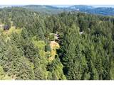 14805 249TH Ave - Photo 43