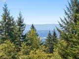 14805 249TH Ave - Photo 44