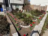 14545 Center St - Photo 6