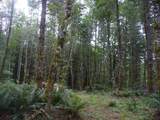 0 Old Rainier Rd - Photo 10