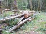 0 Old Rainier Rd - Photo 11