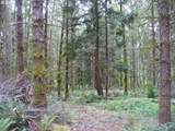 0 Old Rainier Rd - Photo 12