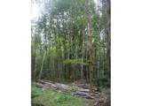 0 Old Rainier Rd - Photo 13