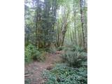 0 Old Rainier Rd - Photo 15