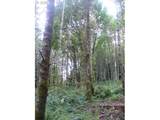 0 Old Rainier Rd - Photo 17