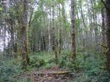 0 Old Rainier Rd - Photo 18