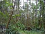 0 Old Rainier Rd - Photo 20