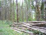 0 Old Rainier Rd - Photo 21