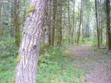 0 Old Rainier Rd - Photo 3