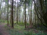 0 Old Rainier Rd - Photo 4