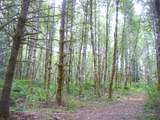 0 Old Rainier Rd - Photo 5