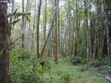 0 Old Rainier Rd - Photo 7