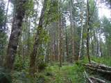 0 Old Rainier Rd - Photo 9
