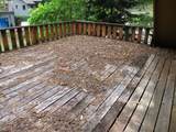 71250 Northshore Dr - Photo 2