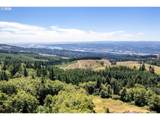 2497 China Garden Rd - Photo 11