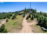 2497 China Garden Rd - Photo 14