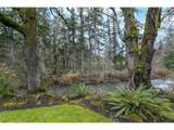 16695 Dancing Fox Ln - Photo 41