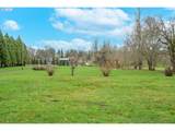 16695 Dancing Fox Ln - Photo 47