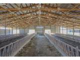 39511 Highway 226 - Photo 22
