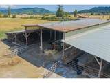 39511 Highway 226 - Photo 24