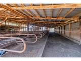 39511 Highway 226 - Photo 29