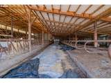 39511 Highway 226 - Photo 32