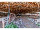 39511 Highway 226 - Photo 34