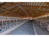 39511 Highway 226 - Photo 35