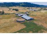 39511 Highway 226 - Photo 5