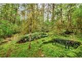 89879 Sheffler Rd - Photo 3