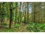 89879 Sheffler Rd - Photo 35