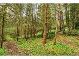 89879 Sheffler Rd - Photo 36
