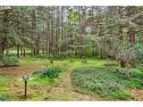 89879 Sheffler Rd - Photo 38