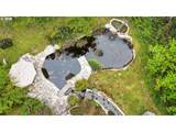 89879 Sheffler Rd - Photo 42
