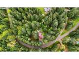 89879 Sheffler Rd - Photo 5