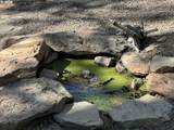 91 Rimrock Rd - Photo 43