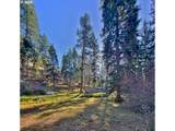 59931 River Canyon Rd - Photo 13