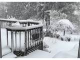 5400 Chase Rd - Photo 48