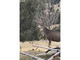 58400 4-K OVERLOOK Ln - Photo 35
