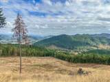 584 Buzz Mountain Ln - Photo 11