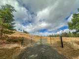 584 Buzz Mountain Ln - Photo 20