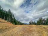 584 Buzz Mountain Ln - Photo 5