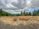 584 Buzz Mountain Ln - Photo 6