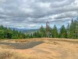 584 Buzz Mountain Ln - Photo 8