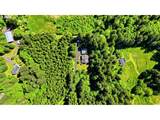 390 Spruce Creek Rd - Photo 43