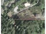  Rogue View Ln - Photo 16
