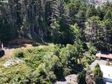  Rogue View Ln - Photo 19