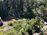  Rogue View Ln - Photo 4