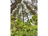 88300 Pacific Surf Ln - Photo 27